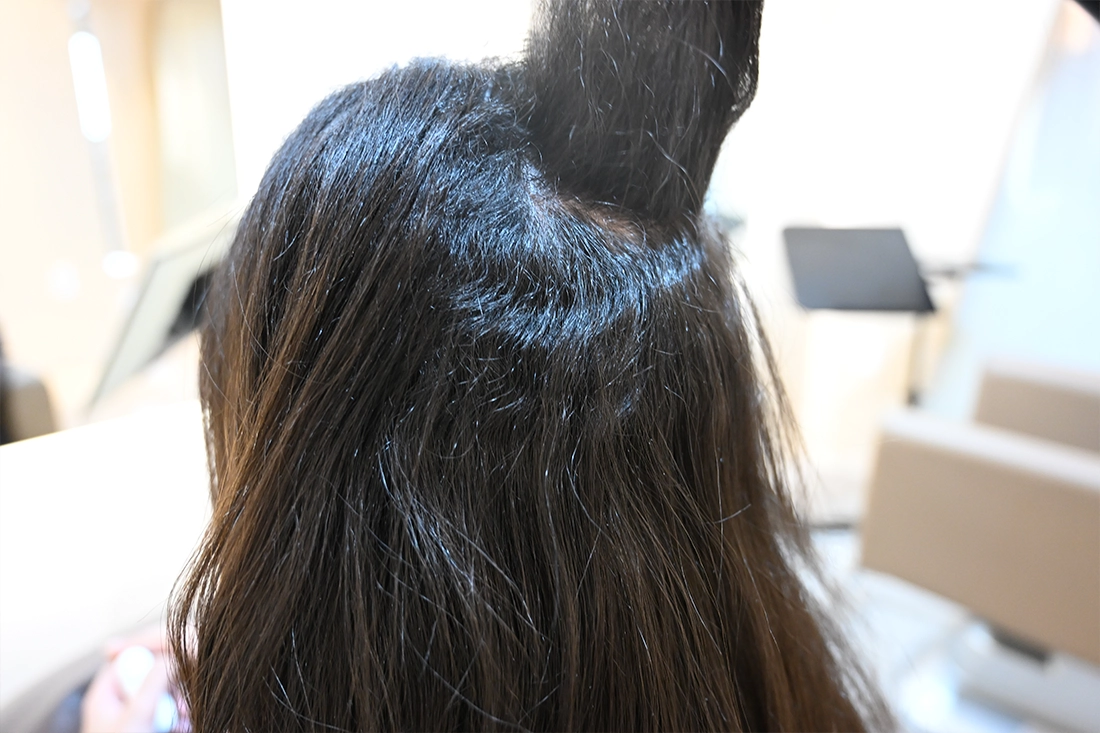 Your hair condition and pre-treatment history